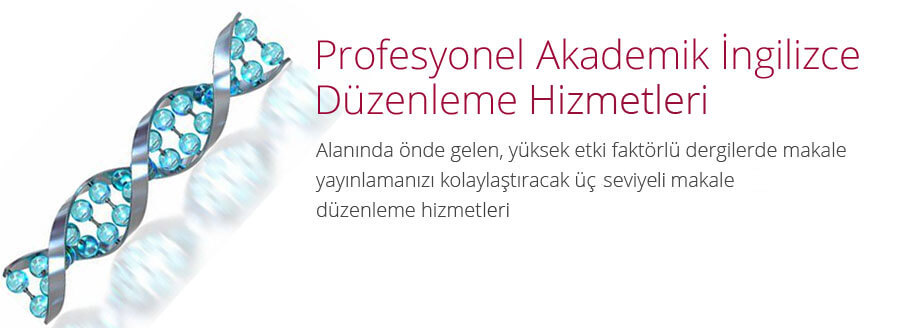 ingilizce düzeltme, ingilizce düzenleme, ingilizce cümle düzeltme, Düzenleme Hizmeti, redaksiyon